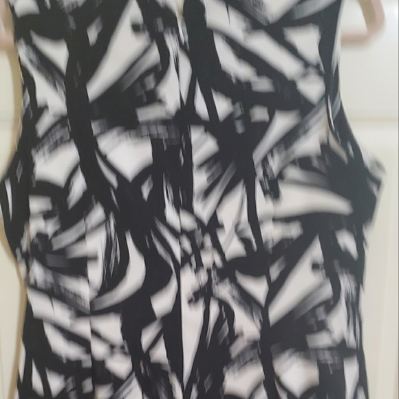 Ronnie Nicole knee length, black and white dress. - Picture 3 of 3